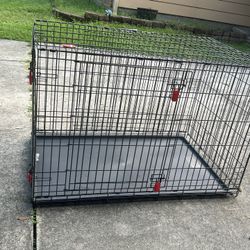 Dog Kennel