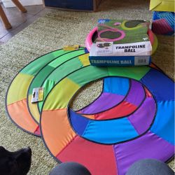 4 Rainbow Flying Disks And Trampoline Ball Set All For 20$