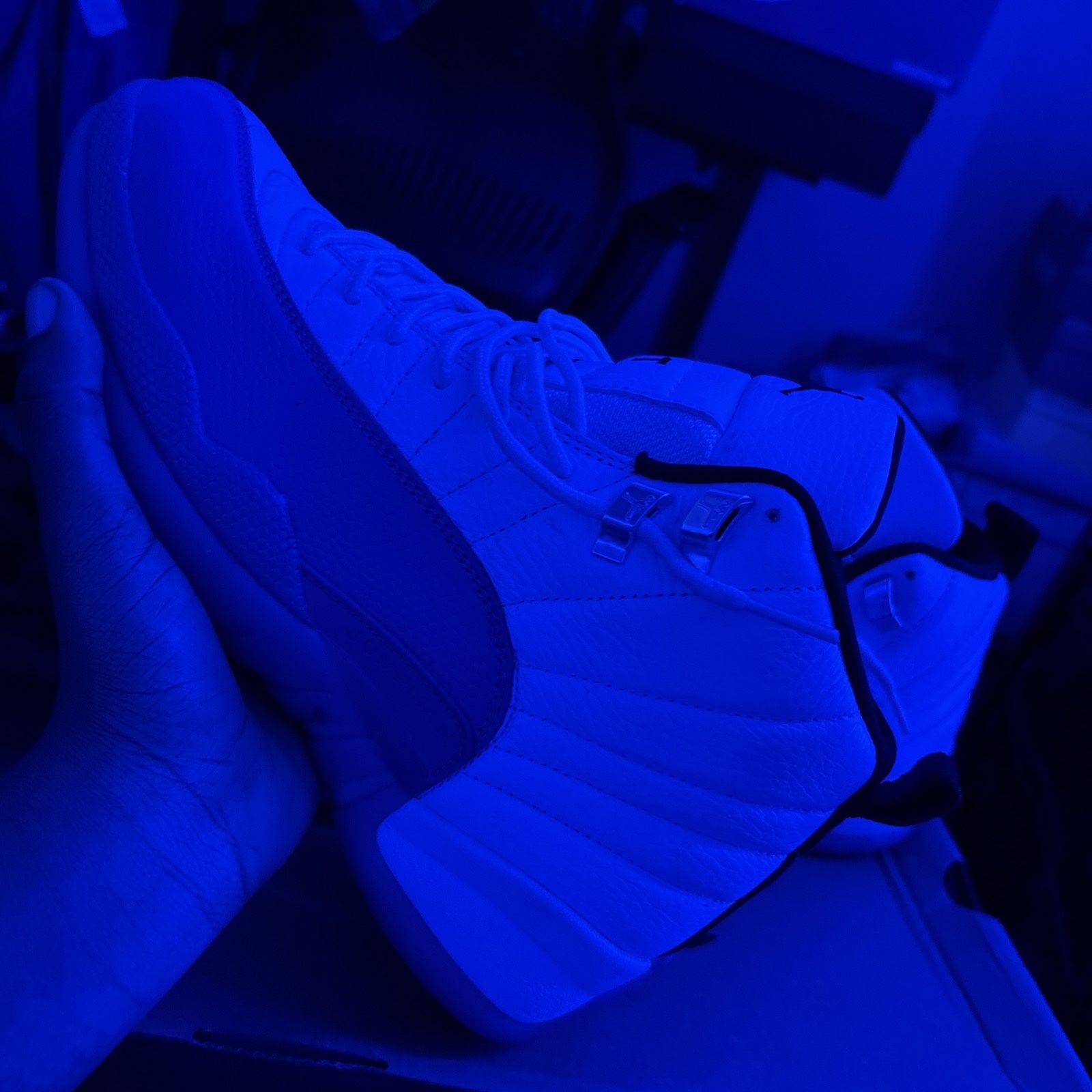Jordan 12s blueberry