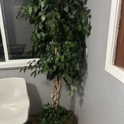 Artificial Tree / Faux Ficus Plant 