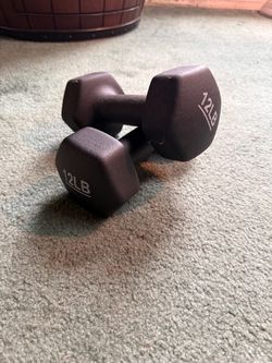 12 Pound Dumbells