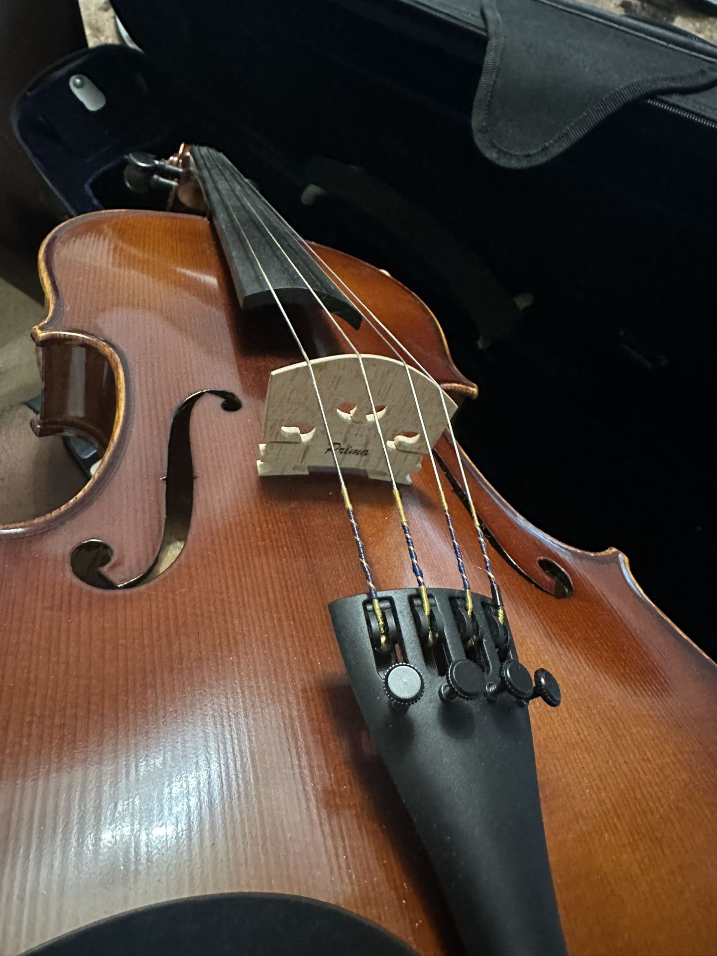 Prima Full Size Viola With Accessories 