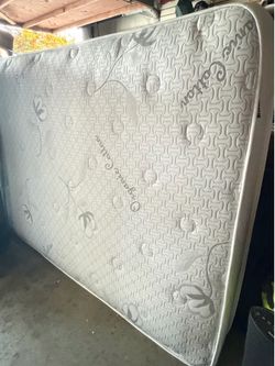 Brand new Full Mattess