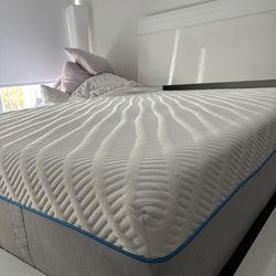 Queen Mattress