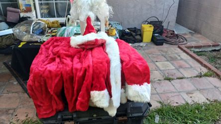 Santa costume