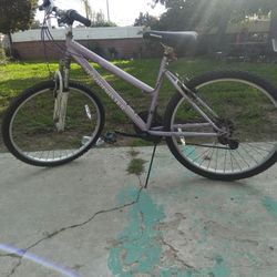 Roadmaster Mountain Bike 