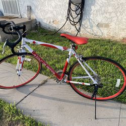 Road Bike $80