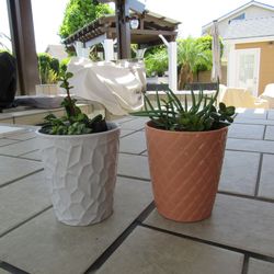 Set Of Orange & Gray Garden Pots With Succulents