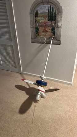Ceiling Fan with Lights