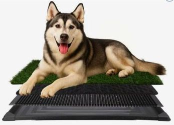 Chewy Pet Pee Pad 35.5x23.5 in