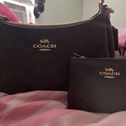 Teri Coach Bag & Wallet