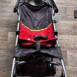 Disneyland Stroller