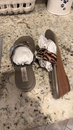 Brighton Lark Zebra - Size 8
