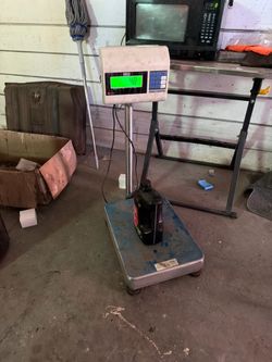 Digital scale
