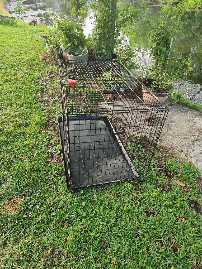 Sturdy Dog Kennel for Sale - Great Condition!