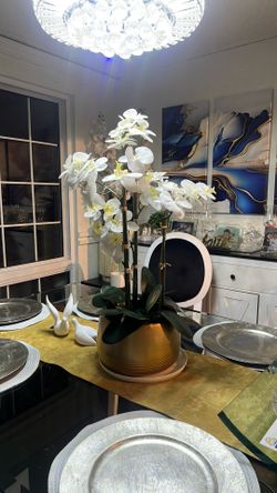 White Orchid on a good base