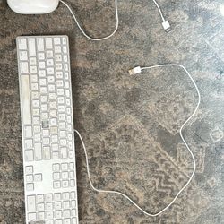 Apple Mouse And Keyboard