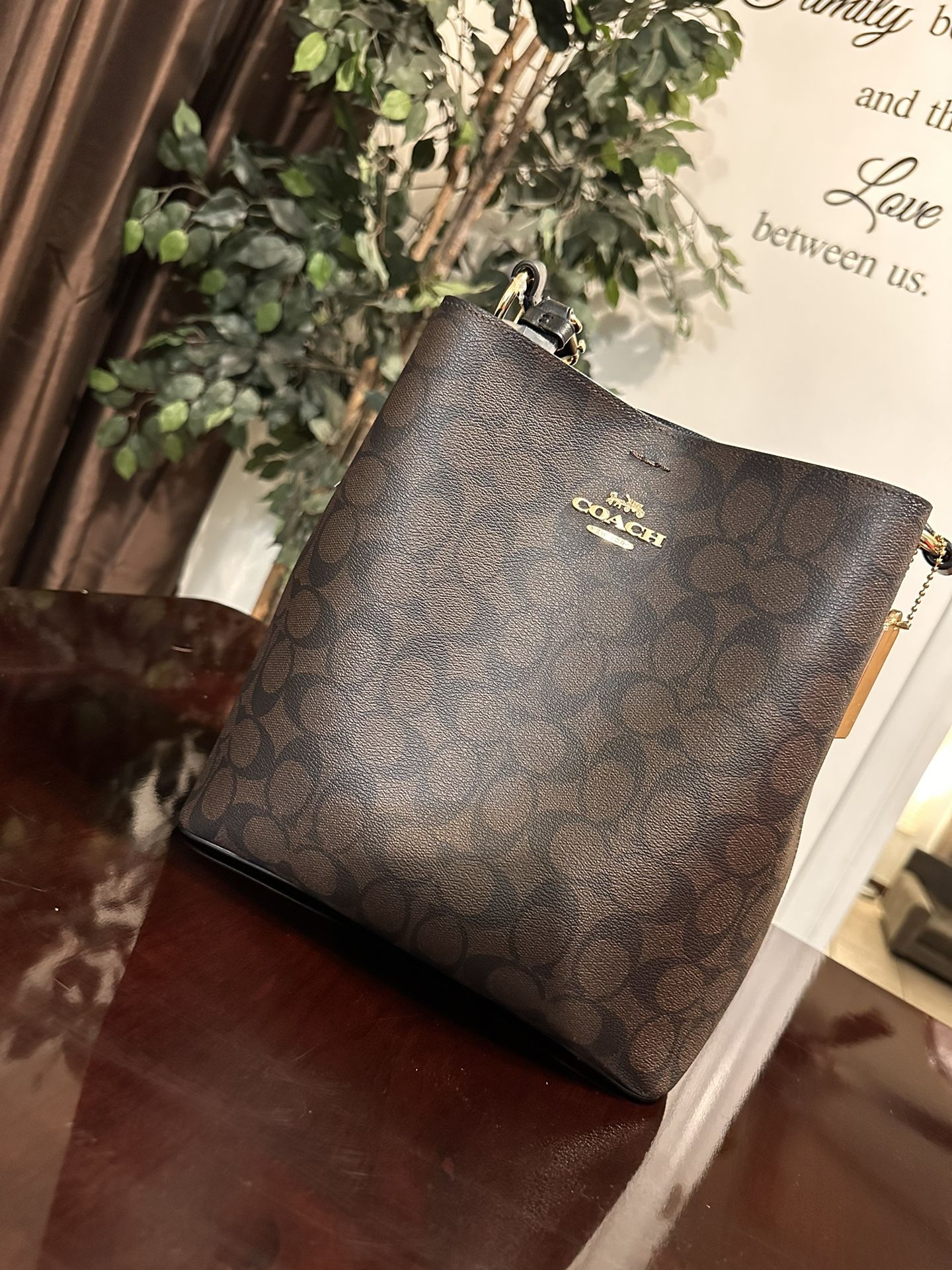 Coach Town Bucket Bag Brand New With Authentic Tag, Size Of Bag : Medium