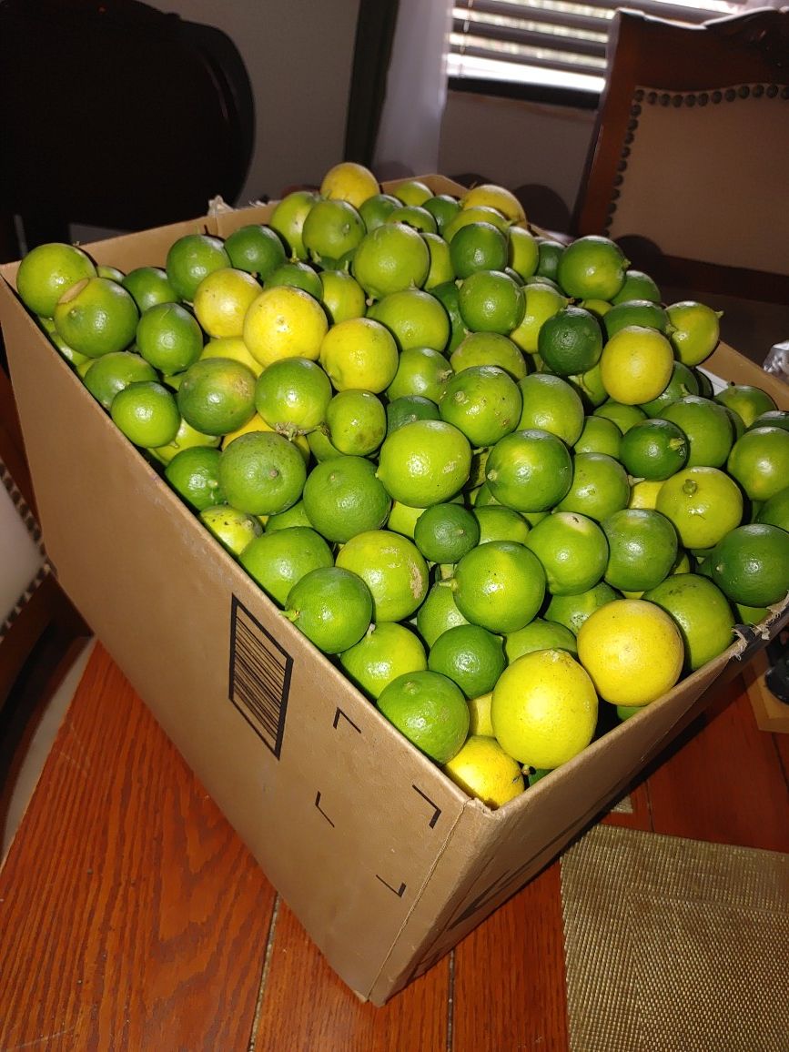 Lemons all this box for $10