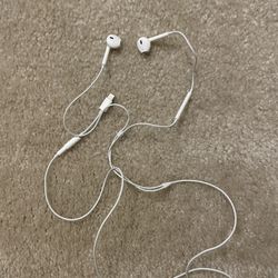 Iphone 11 Earbuds & Charger