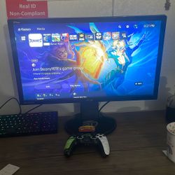 Asus Monitor 