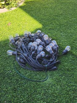 Hampton Bay Outdoor String Lights with Bulbs 24 ft