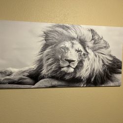 Lion Canvas Paining Wall Art 