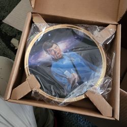 STAR TREK 25th ANNIVERSARY PLATE

