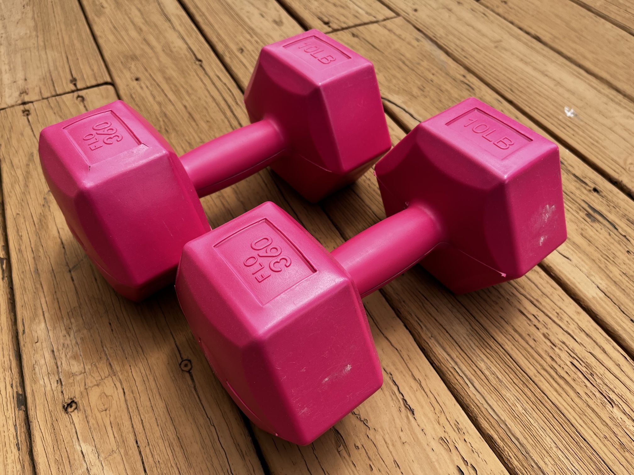 Set Of 2 10 lb Dumbbells