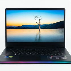MSI GE66 Raider Gaming Laptop  i9