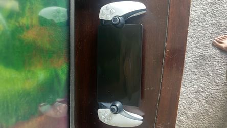 PlayStation portal