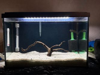 20 gallon aquarium tank