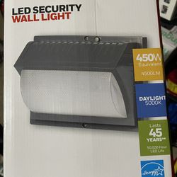 LED Security Wall Light 