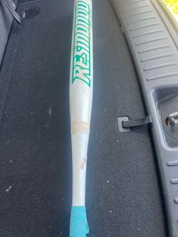 Easton resmundo fireflex slow pitch bat