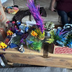 Fish Tank And All accessories brand new