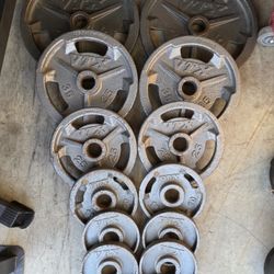 Troy VTX Olympic Weight Set  255 Lbs  READ BELOW.  FIRM PRICE 