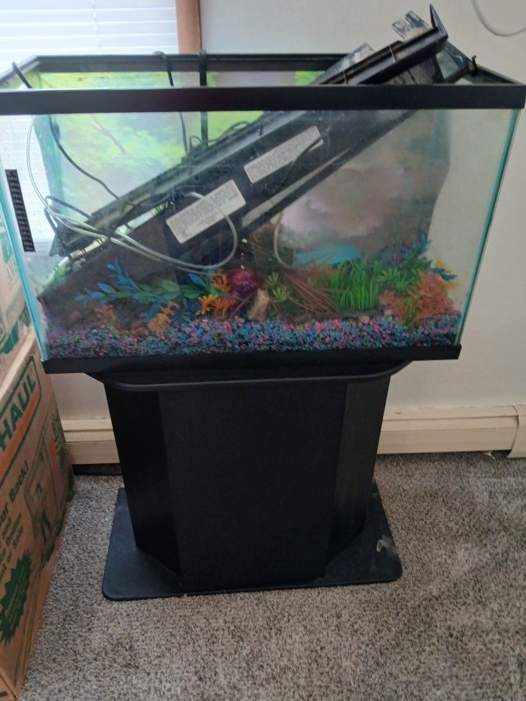 29 Galloǹˆ Fish Tank With Stand