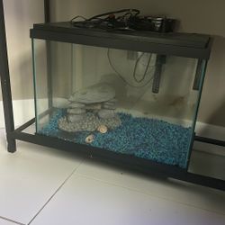 20 Gallon Tank 3 Months Old
