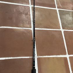 Fishing Pole