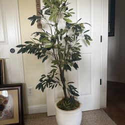 Faux Olive Tree In Pot