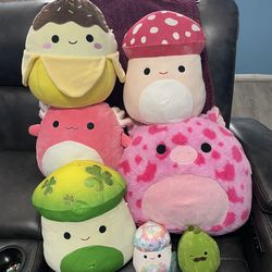 Squishmallow Bundle