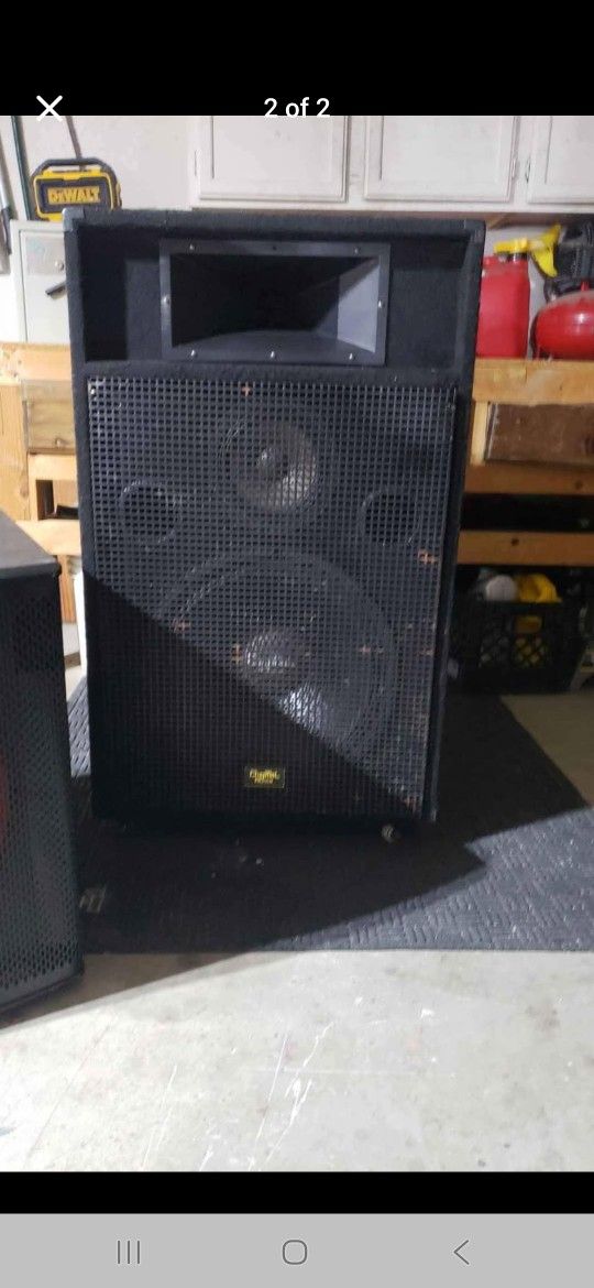 Concert Speaker