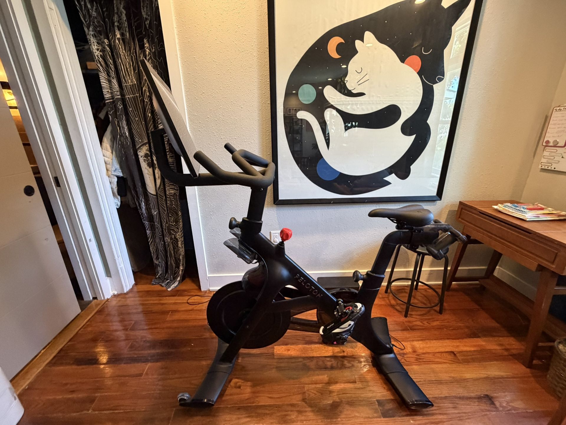 Peloton With Lots Of Extras