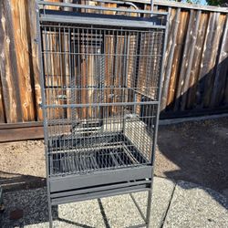 Bird Cage- Medium
