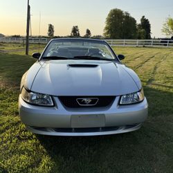 1999 Ford Mustang