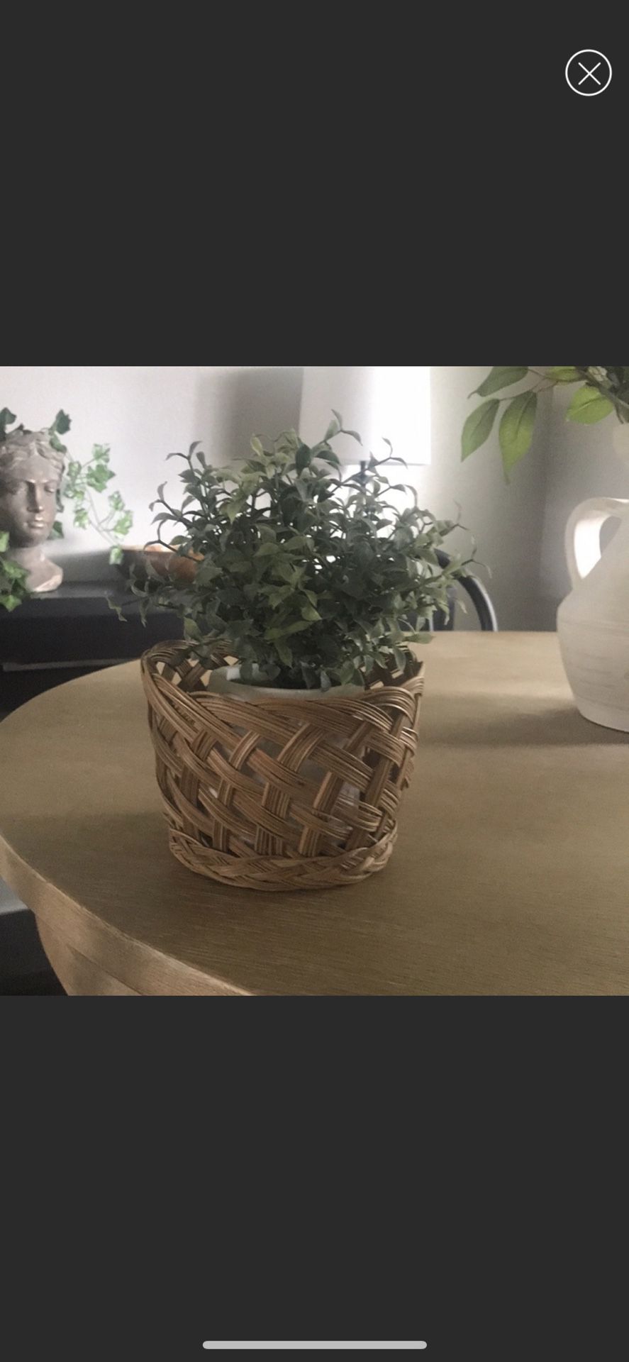 Faux Plant With Wicker Pot