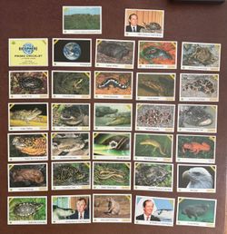 1991 Acorn Biosphere Promo Card complete set rare!!!! Unissued nature Cards with President Bush, etc