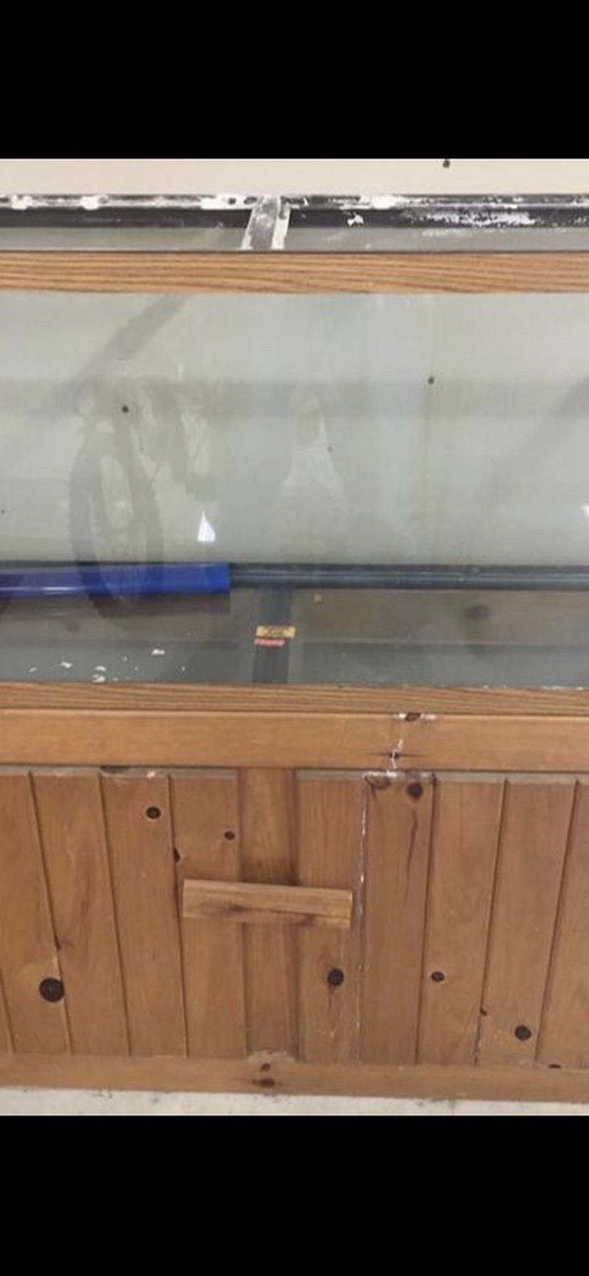 55 Gallon Fish Tank With Stand And Accessories