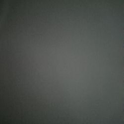 Banana Pied Pinto  - F