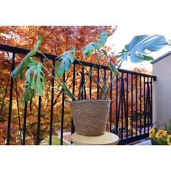 Seagrass Storage Basket Planter Pot Flower Container Woven Storage Bin Room Decoration Flower Basket For Indoor Outdoor Toy Organizer NEW